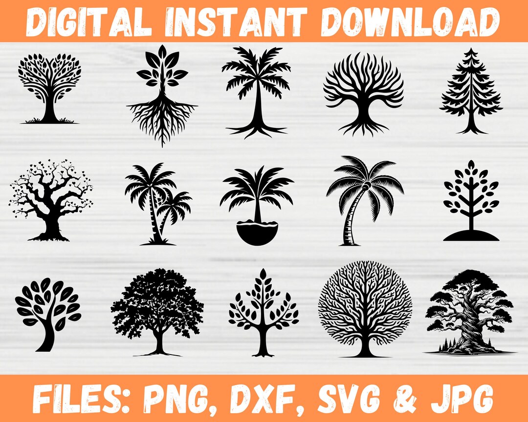 Tree Svg Bundle, Family Tree Svg, Tree Roots Svg, Forest Vector Bundle ...