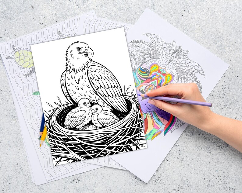 Majestic Eagle Coloring Pages, Eagle Coloring Pages for Kids and Adults ...