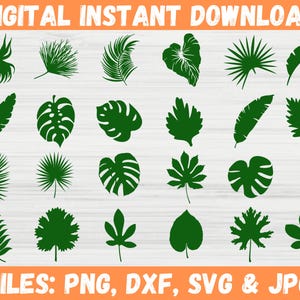 Tropical Leaves Svg Bundle, Tropical SVG, Leafy Tropical SVG Bundle, Modern Tropical Leaves, Monstera Leaf Svg, Tropical Palm Leaves Clipart