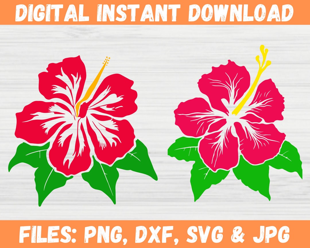 Hibiscus Flower SVG Bundle Floral Summer Leaf Svg Beach Hawaiian Flower ...