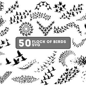 May include: A collection of 50 black bird silhouettes in various flight formations. The designs include flocks in curved, circular, and V-shaped patterns, with the text "50 Flock of Birds SVG" in a gray rectangle.