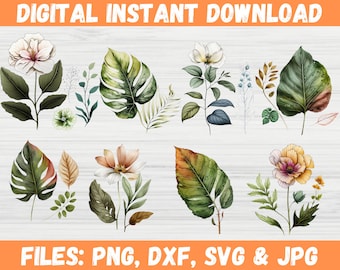 Botanical Floral Leaves Clipart - Bundle de plantes colorées - Silhouette Flower SVG - Crafts and Pattern - Cricut Files for Svg, Png, Dxf, Jpg