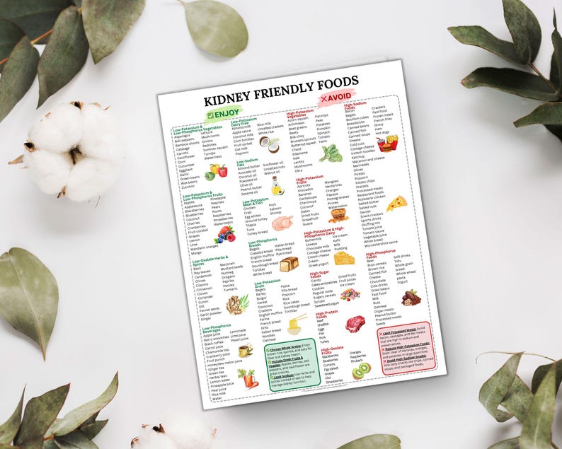 Best foods for kidney function
Low-potassium foods for kidney disease
Kidney-friendly meal plan
Low-protein foods for kidney disease
Healthy kidney foods
Kidney disease food recommendations
Kidney health diet
Renal diet recipes