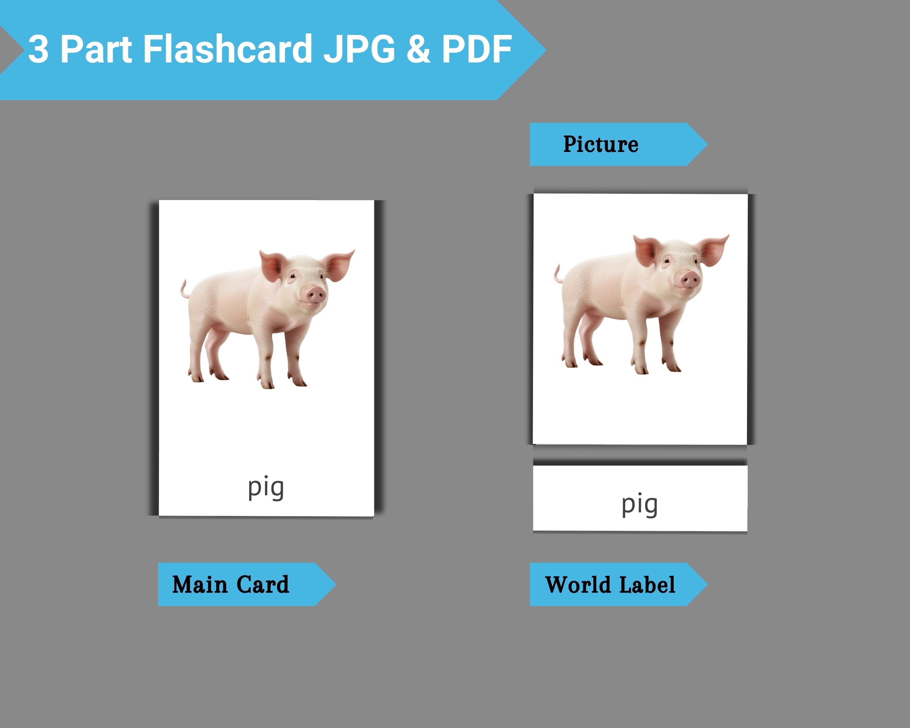 Farm Animals Cards for Kids | Animal Flash Cards | Editable Montessori ...