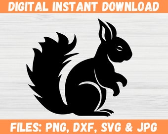 Ardilla linda SVG, ardilla prediseñada digital, archivos de diseño de ardilla, descarga digital para archivo de corte Cricut, calcomanías de animales salvajes, ardilla PNG