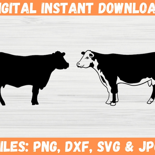 Beef Cattle SVG | Farm Animal Livestock Cow Silhouette Clipart Design | Black Bull Angus Steak Rancher Cut File for Cricut Svg,Png,Dxf,Jpg
