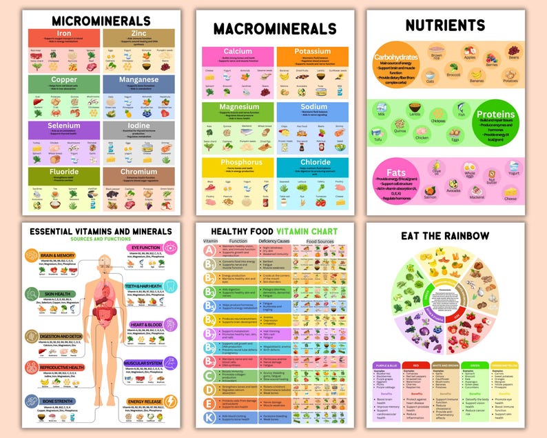 minerals for health
vitamins and minerals worksheet
nutrition poster design
daily nutrient reference
vitamin guide for kids
mineral nutrition guide
vitamin fact sheet