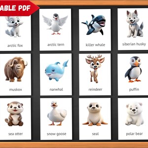 Tarjetas didácticas de animales árticos de dibujos animados, maqueta de tarjeta imprimible, tarjetas Montessori de 3 partes para aprendizaje, educación en casa, 4-6 años
