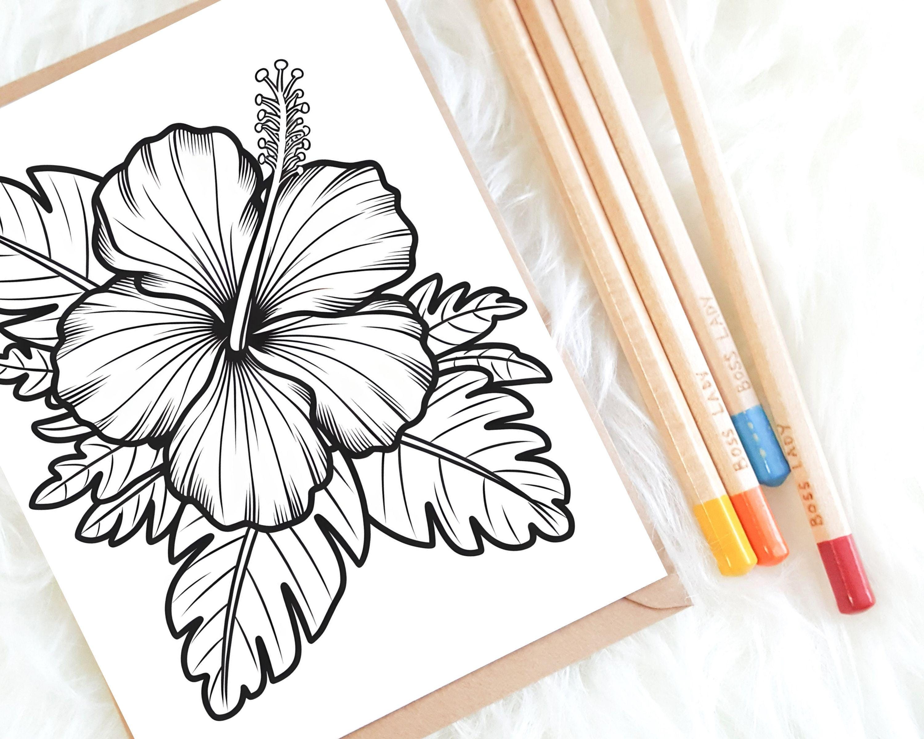 Bold and Easy Flower Coloring Pages PDF, 31 Floral Sheets for ...