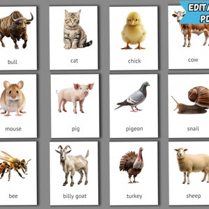 Animals Flashcards | PDF Printable Card | Editable Montessori Cards ...