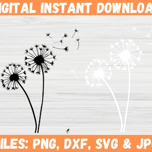Instant downloads van paardebloem SVG in zwart - elegante paardebloem SVG-bundel, bloem clipart, bloemen gesneden bestand voor je volgende doe-het-zelf-project.