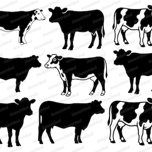 Beef Cattle SVG | Farm Animal Livestock Cow Silhouette Clipart Design | Black Bull Angus Steak Rancher Cut File for Cricut Svg,Png,Dxf,Jpg