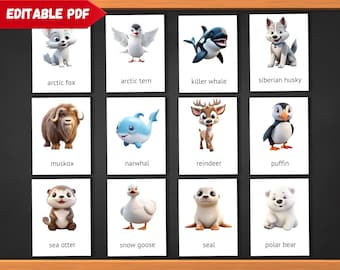 Cute Cartoon Arctic Animals Flash Cards for Kids & Toddlers | Educational Preschool Learning Activity | Printable Digital Download Set for 1