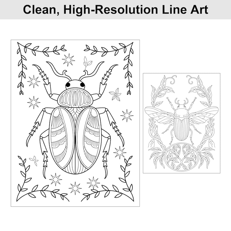 May include: Black and white line art illustrations of beetles. One large beetle is surrounded by leaves and stars. The other beetle has wings and is surrounded by leaves. The text "Clean, High-Resolution Line Art" is at the top.