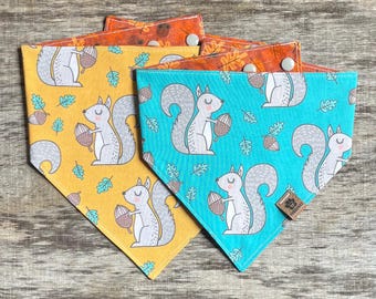 Squirrel Squad Snap On Dog Bandana, Fall Harvest Dog Bandana, Squirrel Hunter, Reversible Personalized Bandana, New Puppy Gift, Dog Kerchief