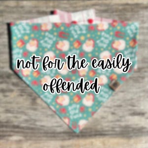 May include: A turquoise dog bandana with a repeating pattern of Santa Claus faces and the text "not for the easily offended". The bandana has a red and white striped backing.