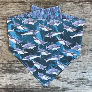 CLEARANCE The SHARK! Snap Style Reversible Bandana, Shark Bandana, Personalized Dog Bandana, Dog Bandanna, Dog Scarf, Puppy Scarf