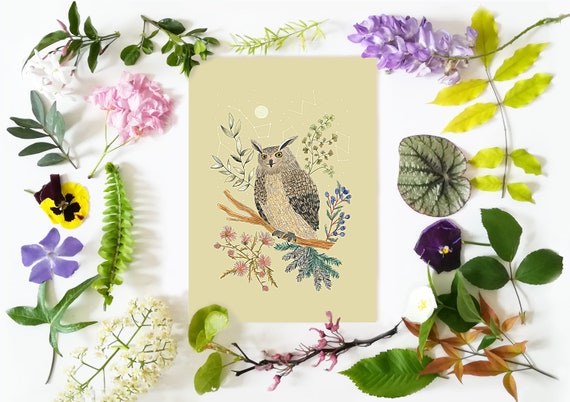 Ilustracion Buho Dibujo Animal Y Plantas Dibujo Ave Etsy
