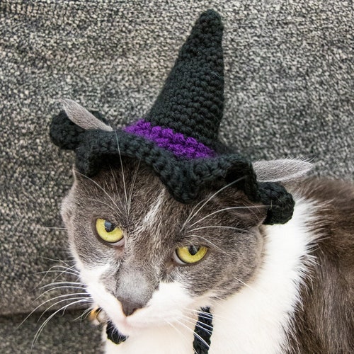 Crochet Pattern Witch Hat for Cats PDF Instructions for Cat Etsy