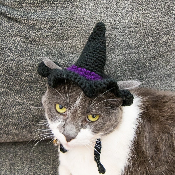 Crochet Pattern: CAT WITCH HAT for Halloween to dress up your kitty * black and purple hat * top down hat for cats * cat costume