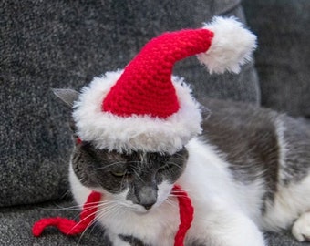 May include: A gray and white cat wearing a red and white crocheted Santa hat. The cat is lying on a gray couch.