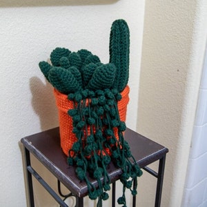 Modello succulento COPRI CARTA IGIENICA all'uncinetto / Porta carta igienica all'uncinetto / Succulente all'uncinetto / Cactus all'uncinetto / Regali di Natale all'uncinetto