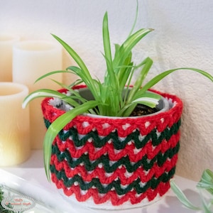 Puede incluir: Una planta verde en una maceta blanca con una cubierta de crochet roja y verde. La cubierta tiene un patrón de chevron.