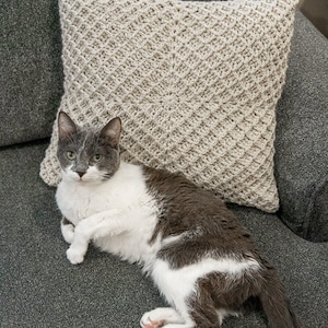 Puede incluir: Un gato gris y blanco est&aacute; tumbado en un sof&aacute; gris con una almohada de ganchillo. La almohada es de color beige claro con un patr&oacute;n de diamante.