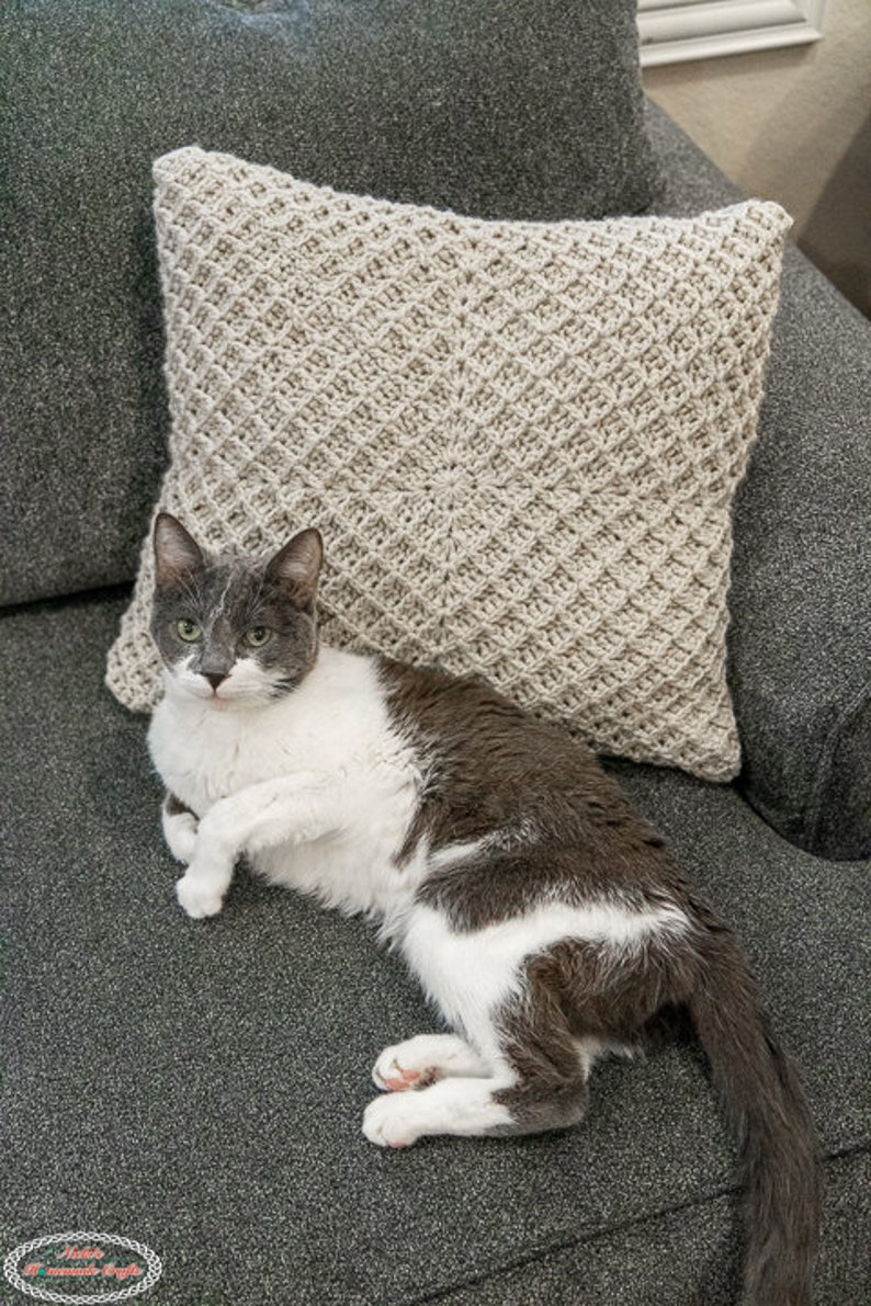 Puede incluir: Un gato gris y blanco est&aacute; tumbado en un sof&aacute; gris con una almohada de ganchillo. La almohada es de color beige claro con un patr&oacute;n de diamante.
