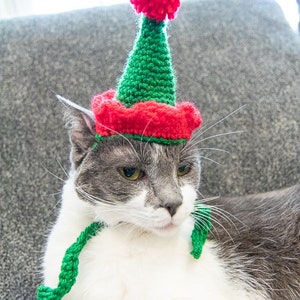 Cat Hat CROCHET PATTERN Crochet Cat Beanie Crochet Elf Hat Pattern for Cats Crochet Cat Toy Crochet Santa Hat Pattern image 3