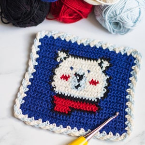 CROCHET WASHCLOTH PATTERN Crochet Wash Rag Crochet Dishcloth Pattern Crochet Bear Pattern Tapestry Crochet Pattern image 5