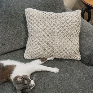 Puede incluir: Un sof&aacute; gris con una almohada de crochet blanca y marr&oacute;n. Un gato blanco y gris est&aacute; acostado en el sof&aacute;.