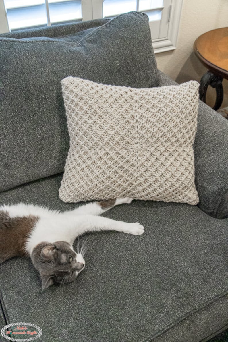 Puede incluir: Un sof&aacute; gris con una almohada de crochet blanca y marr&oacute;n. Un gato blanco y gris est&aacute; acostado en el sof&aacute;.