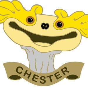 Chester Patch Sock Puppet and Star of The Sifl and Olly Show image 3
