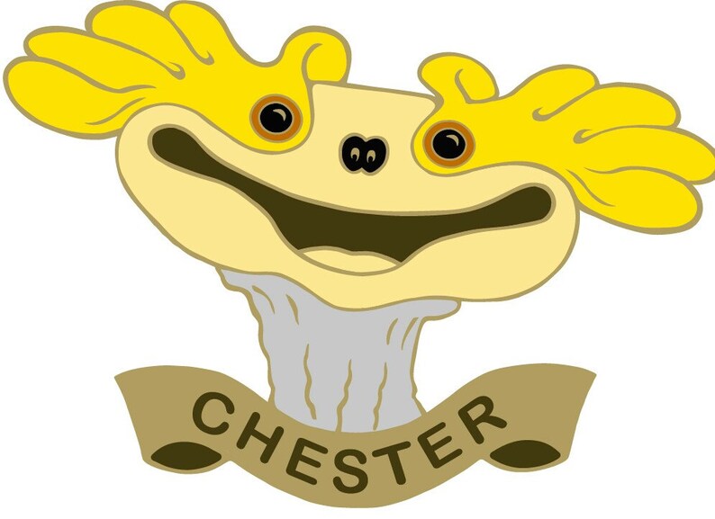 Chester Patch Sock Puppet and Star of The Sifl and Olly Show image 3