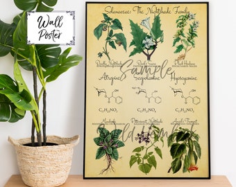 Deadly Nightshade Botanical Print Vintage Mandrake Belladonna Chemistry Wall Art Spooky Home Decor