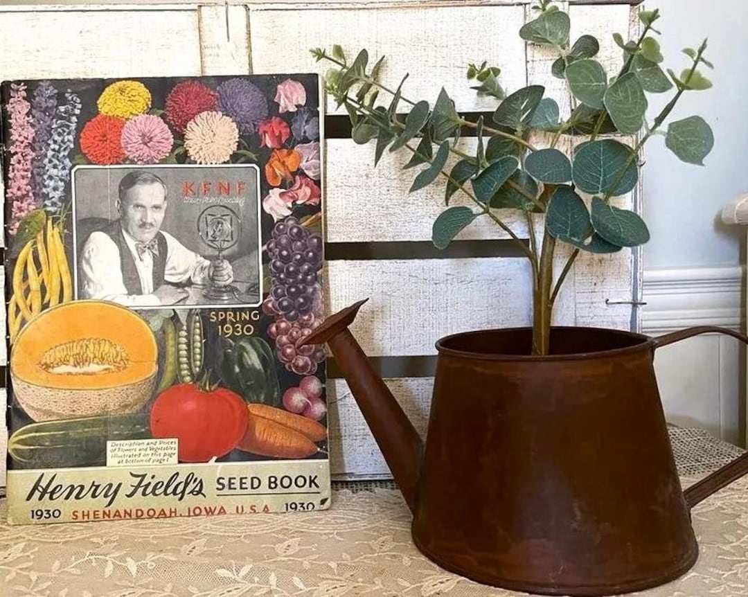 Vintage 1930's Seed Catalog Henry Field's Awesome Garden Illustrations