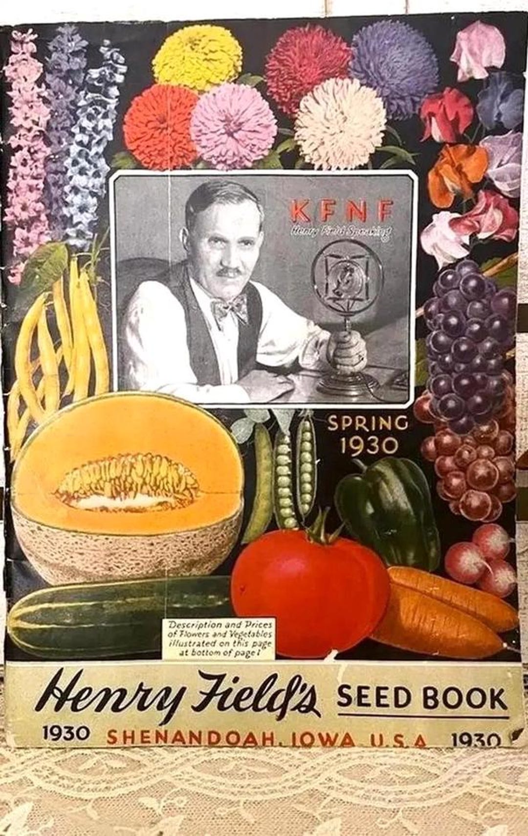 Vintage Garden Seed Catalog 1930 Henry Field's Awesome Illustrations a