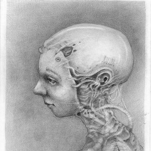 Può includere: Un disegno a matita di una testa e delle spalle di una persona. La testa della persona è parzialmente aperta, rivelando una complessa rete di fili e tubi. Il disegno è in tonalità di grigio.