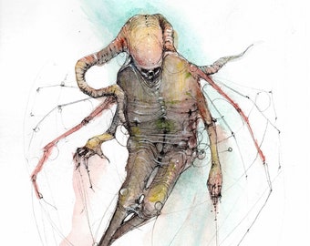 spectator