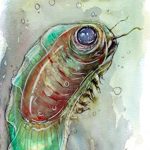 Può includere: Dipinto ad acquerello di una creatura acquatica stilizzata con un grande occhio scuro. Il corpo della creatura è un mix di tonalità verdi, rosse e marroni, con un aspetto traslucido e gelatinoso. Bolle fluttuano attorno al soggetto su uno sfondo attenuato.