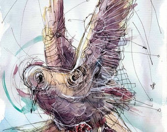 gliding