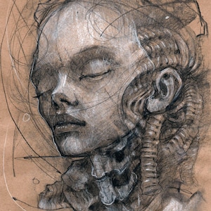 May include: A detailed pencil drawing of a person's face with closed eyes, showcasing anatomical elements. The artwork, rendered in shades of gray and white on a brown background, features intricate line work and shading, highlighting the skeletal structure and facial features.