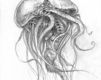 DeepWater Surprise II"drawing"