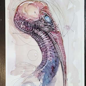 May include: Watercolor illustration of a creature's head and neck, featuring a long, curved beak and a large, blue eye. The artwork uses shades of purple, pink, and blue, with fine black line details and a soft, watercolor background. The style is surreal.