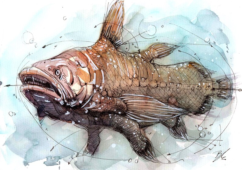 Anatomy of the Depths 
