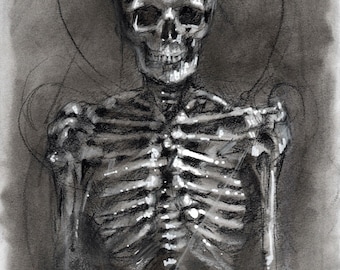 Anatomy Of Absence "charcoal drawing"