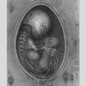 May include: A black and white pencil drawing of an alien creature in an egg-shaped pod. The creature has a long, thin body with a large head and long, spindly legs. The pod is surrounded by a series of intricate lines and symbols.
