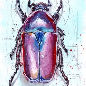 Può includere: Acquerello di uno scarabeo vibrante con un guscio viola, rosso e blu. L'insetto è dettagliato con zampe e antenne intricate, su uno sfondo di linee geometriche e testo. L'opera d'arte ha uno stile di illustrazione scientifica.