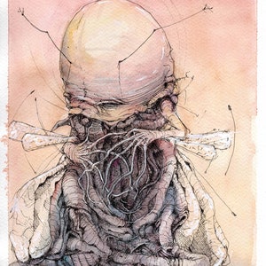 May include: A watercolor painting of a surreal, humanoid figure with a large, bulbous head and a body composed of intricate, interwoven lines and shapes. The figure is depicted against a soft, pink background.